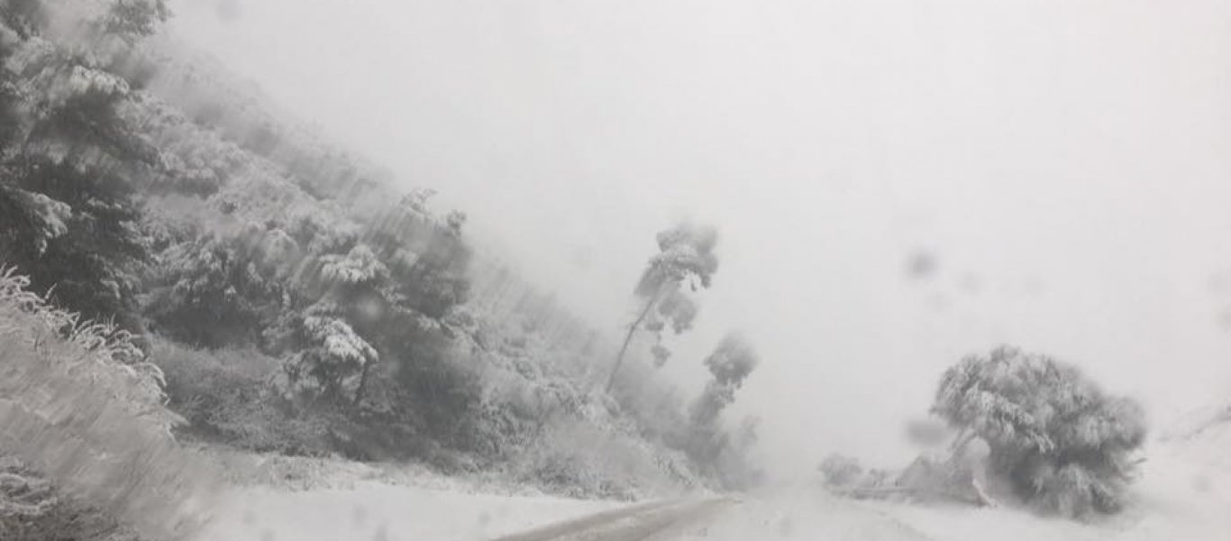 Στο «έλεος» του χιονιά η Ελλάδα - Προβλήματα σε ολόκληρο το οδικό δίκτυο (φωτό, βίντεο)